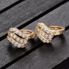 Trendy Double Row of Zircon Earrings ER0042