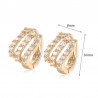 Trendy Double Row of Zircon Earrings ER0042