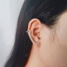 Trendy Fashion Earring for Women