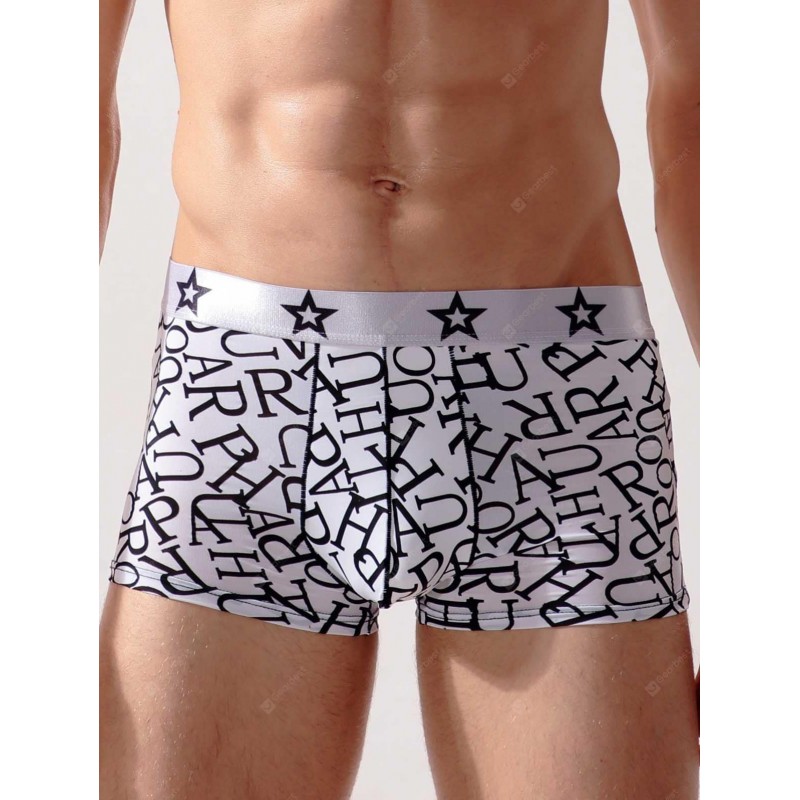 Stretch Boxers Graphic Swimming Trunks