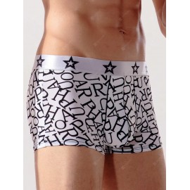 Stretch Boxers Graphic Swimming Trunks