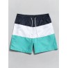 Tricolor Board Shorts