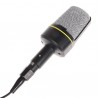 SF-920 Condenser Microphone Special for Chatting and Singing over Internet -Black