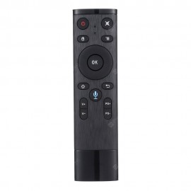 Q5 - A 2.4G Wireless Transmission Voice Function Remote Controller