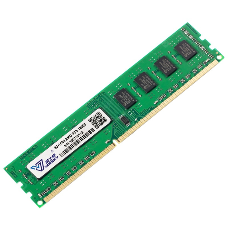 Vaseky Memory Module