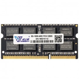 Vaseky Laptop Memory Module for AMD Processor