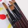 Nylon Mixed Oil Watercolor Brush 6pcs