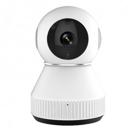 Smart Camera with Smart Home Control System