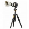 QZSD Q666 360 Degree Rotating Ball Head Tripod