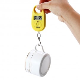 WH-A11 Fish Hook Weigh Digital Scale