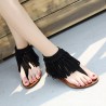 Tassel Clip Toe Bohemia Vintage Zipper Gladiators For Women