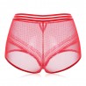 Plus Size High Waist Tummy Control Hollow Lace Panties