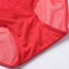 Sexy See Through Mesh Breathable Mid Waist Panties For Women