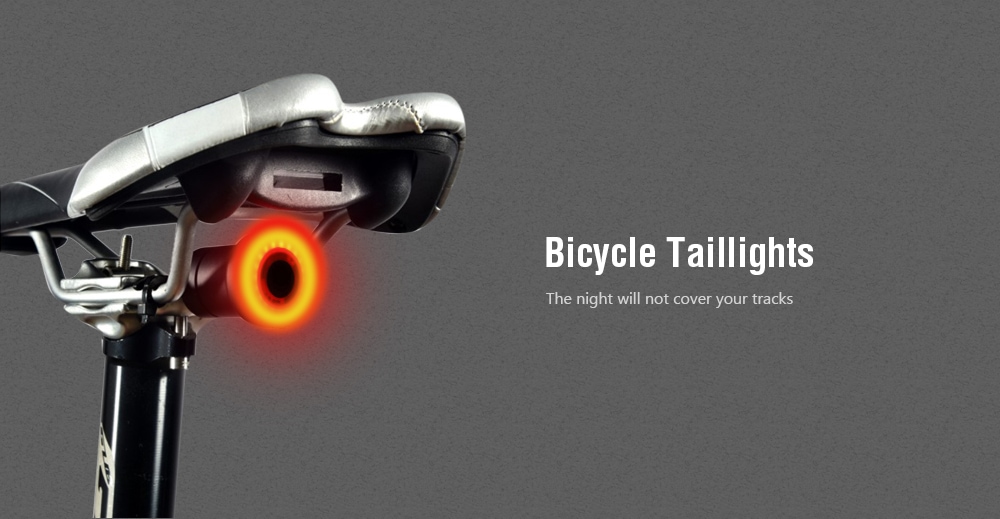 Xlite100 Bicycle Intelligent Induction Brake Lights USB Charging Night Taillights- Black Seat tube