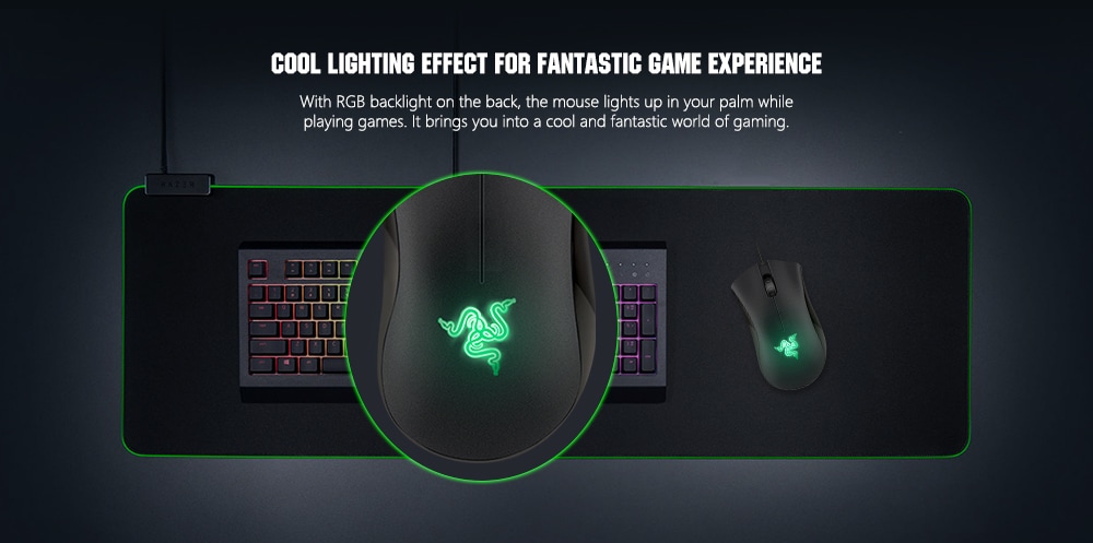 Razer RZ01 - 0085 DeathAdder 1800DPI Essential Ergonomic Gaming Mouse- Black