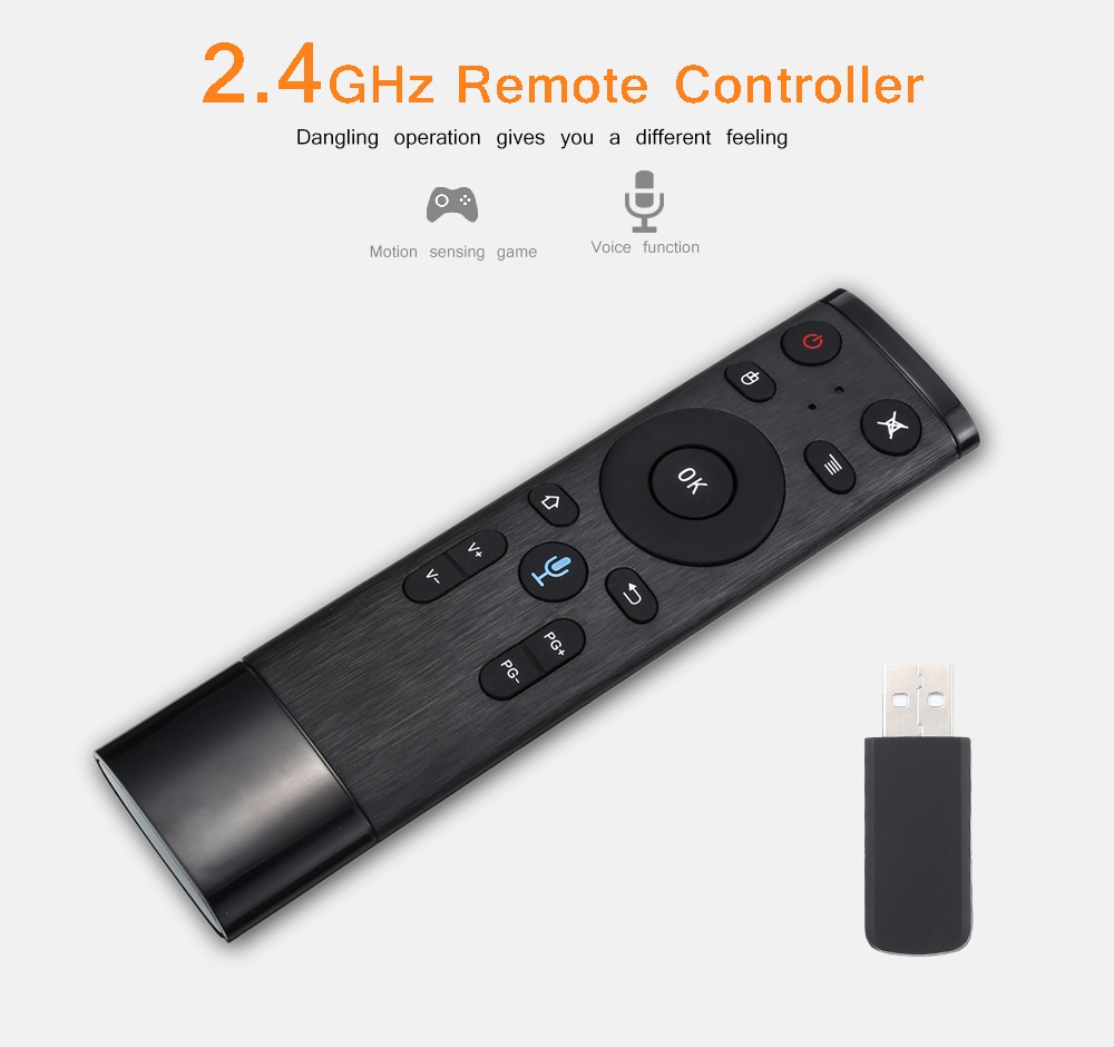 Q5 - A 2.4G Voice Function Remote Controller- Black