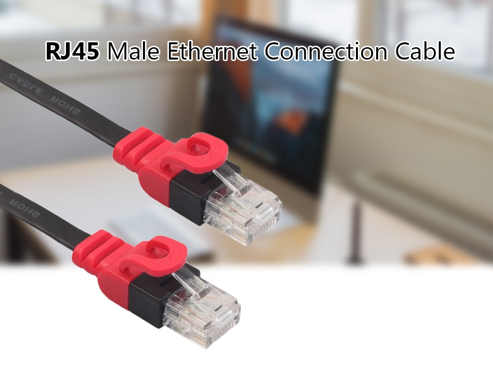 REXLIS RJ45 Male to RJ45 Male Ethernet Connection Cable- Red 2M