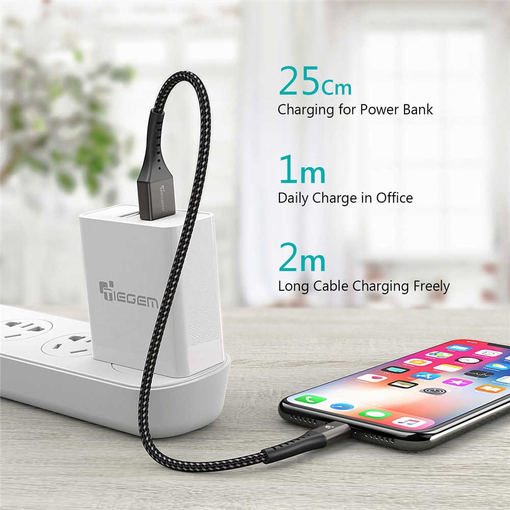 TIEGEM 2A USB Cable Fast Charging Cord for iPhone- Gray 30CM